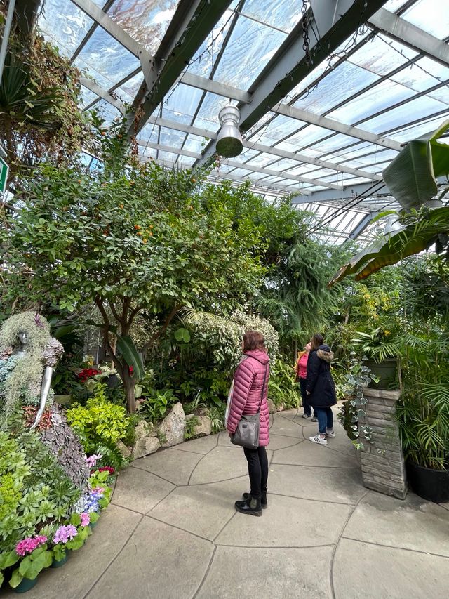 Succulents in the south wing