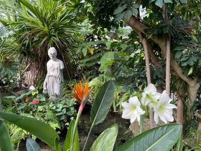 Centennial Park Conservatory in Etobicoke